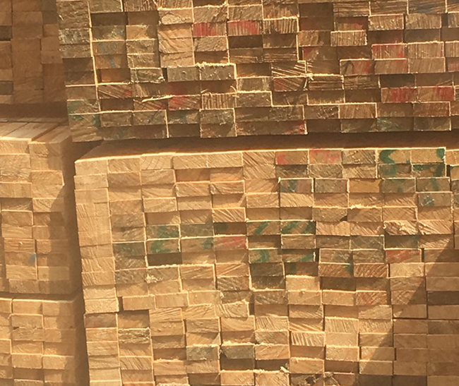 铁山港新西兰进口松木